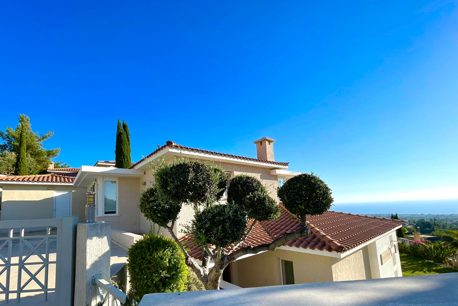 WhatsApp Image 2022-12-04 at 3.42.46 PM (1)