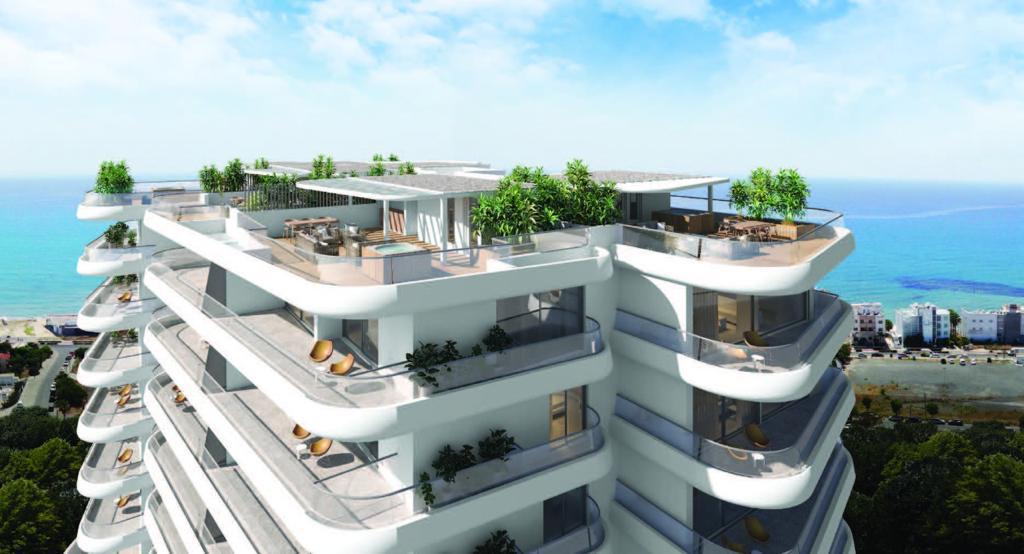 WhatsApp Image 2022-12-04 at 3.42.55 PM (1)